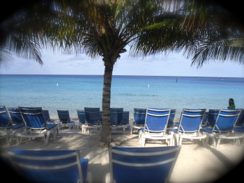 Bahamas palme meer strand Bahamas palme meer strand