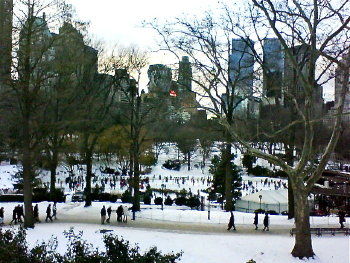 new york central park winter