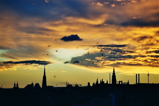 Silhouette der Wiener Innenstadt samt Krähen und sich auflösendem Gewitter: Turm der Stephanskirche links und Spitze des Rathauses rechts